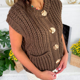 Chloe Brown Sweater + Gold Button Sweater Vest Sincerely Ours