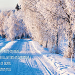 Snowy winter scene with frosted trees and a quote on a blue background