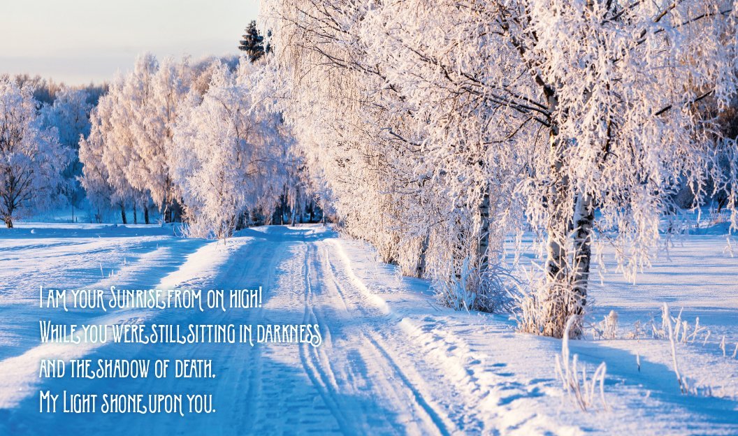 Snowy winter scene with frosted trees and a quote on a blue background