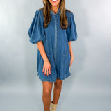 Baxter Denim Ruffle Mini Dress Karlie