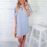 Charlotte Sky Ten Stripes Mini Dress Adrienne