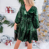 Cher Hunter Tinsel Mini Dress Alden Adair