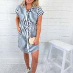 Holland Blue Striped Contrast Detail Mini Dress