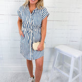 Holland Blue Striped Contrast Detail Mini Dress