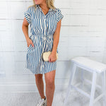Holland Blue Striped Contrast Detail Mini Dress