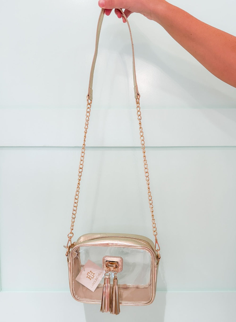 Addison Clear Crossbody + Tassel Bag GOLD