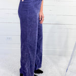 Ingrid Violet Velour Pants Compania Fantastica