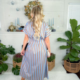 Malisa Blue + Cocoa Striped Nipped Waist Dress THML
