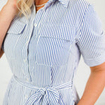 Oscar Navy + White Stripe Shirt Dress Allie Rose