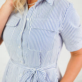 Oscar Navy + White Stripe Shirt Dress Allie Rose