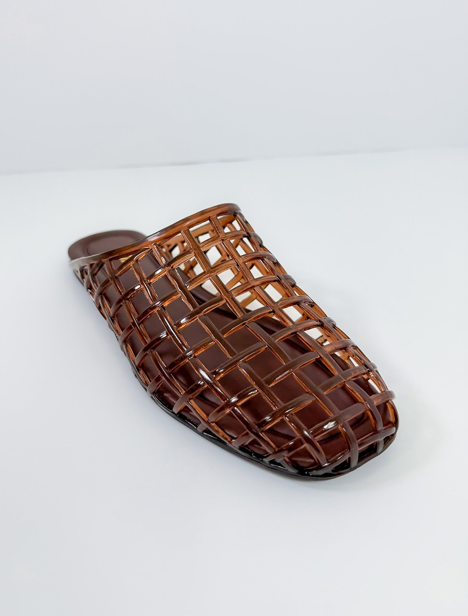 Wayne Tortoise Lucite Slide Sandal