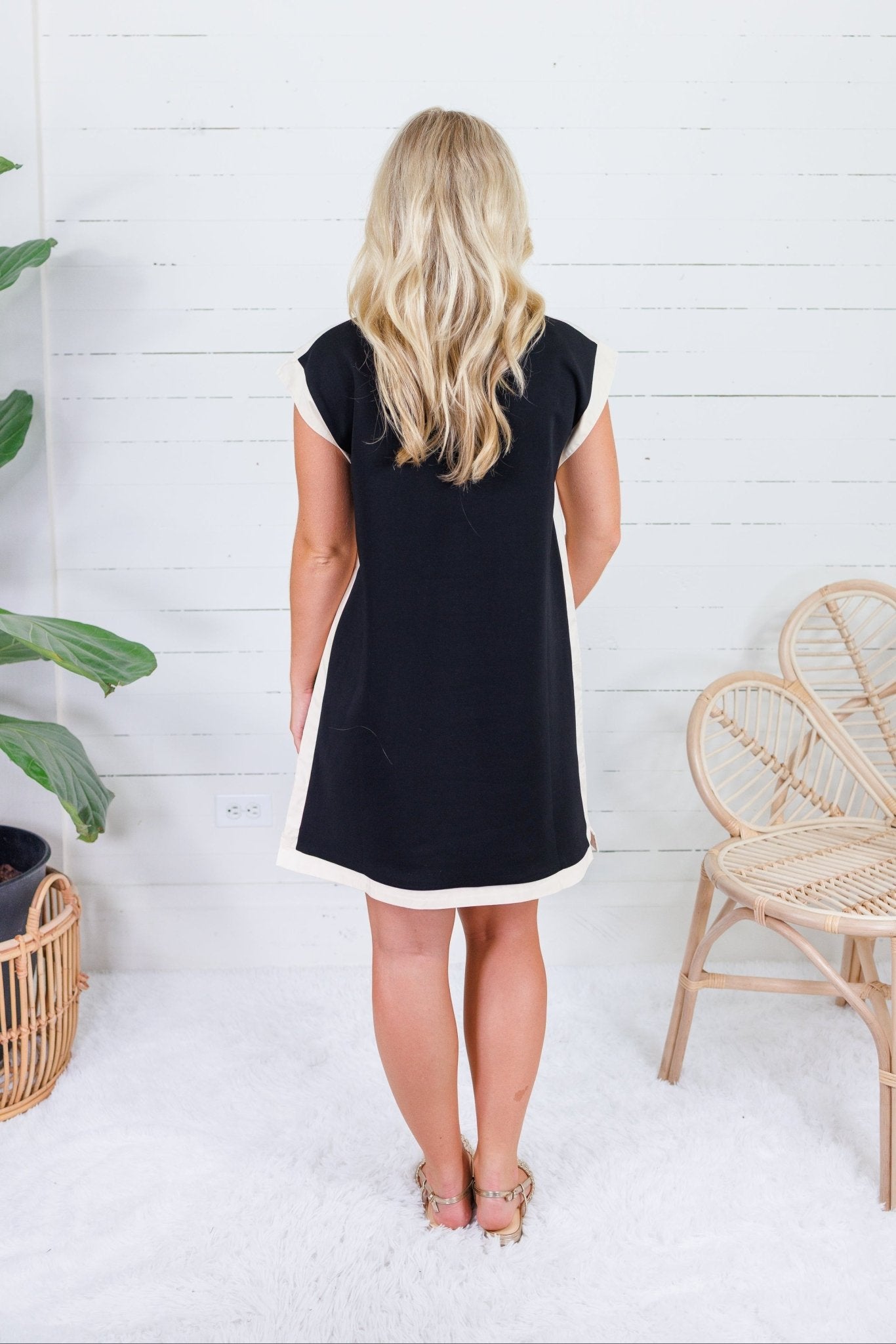 Belvedere Noir + Oatmeal Trim Mini Dress