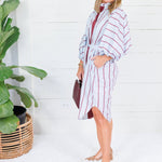 Collins Silver Blue + Burgundy Stripe Shirt Dress Karlie