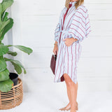 Collins Silver Blue + Burgundy Stripe Shirt Dress Karlie