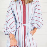 Collins Silver Blue + Burgundy Stripe Shirt Dress Karlie