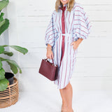 Collins Silver Blue + Burgundy Stripe Shirt Dress Karlie
