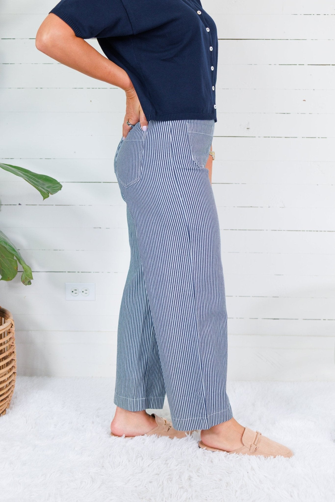 Colton Navy Stripe Pants Entro