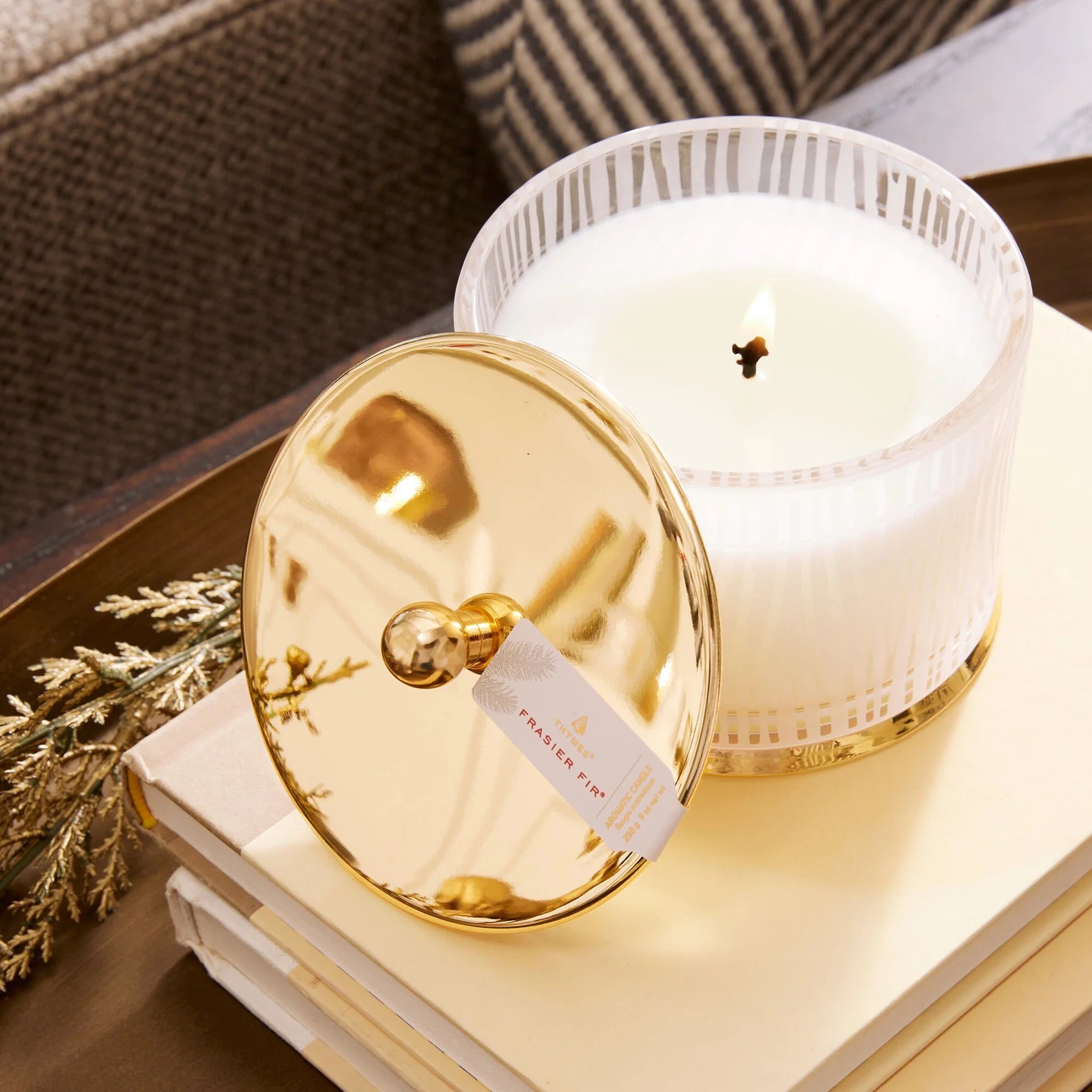frasier-fir-gilded-short-frosted-luminary-3